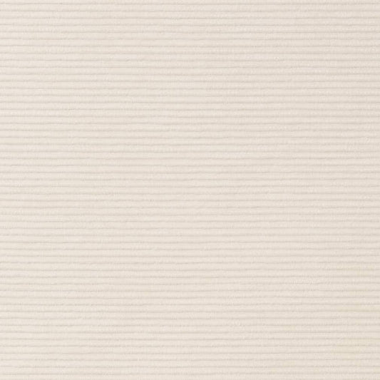 D2294 Plain & Solid Cotton White & Ivory Charlotte Fabrics