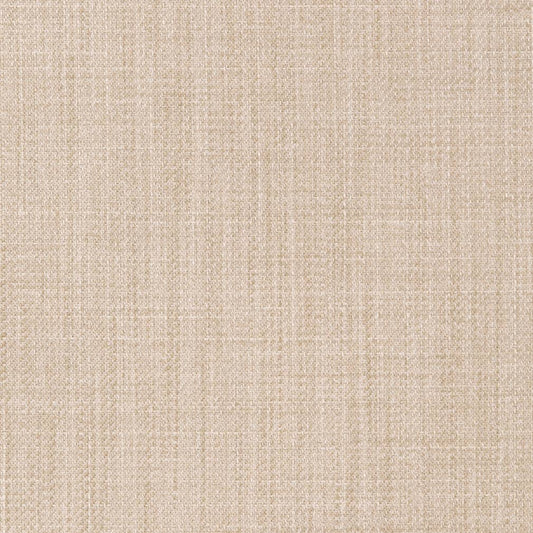D2298 Plain & Solid Oyster Beige & Taupe Charlotte Fabrics