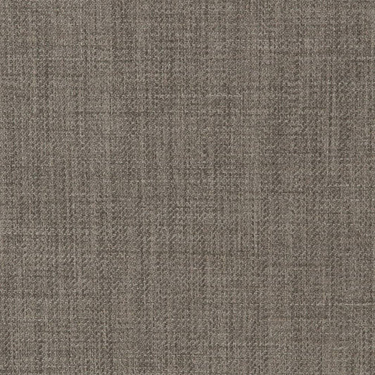 D2300 Plain & Solid Metal Grey & Silver Charlotte Fabrics