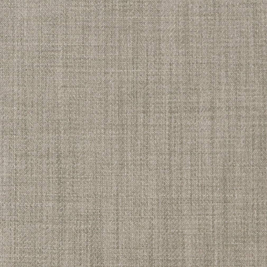 D2302 Plain & Solid Ash Grey & Silver Charlotte Fabrics