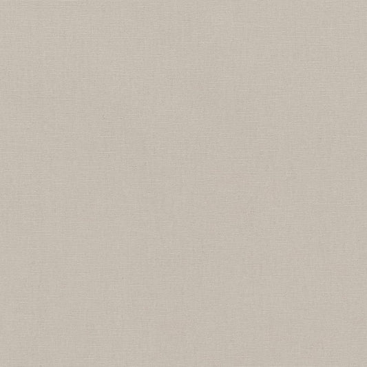 D2348 Plain & Solid Silver Grey & Silver Charlotte Fabrics