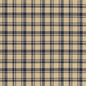 D2392 Plaid Ink Blue Charlotte Fabrics