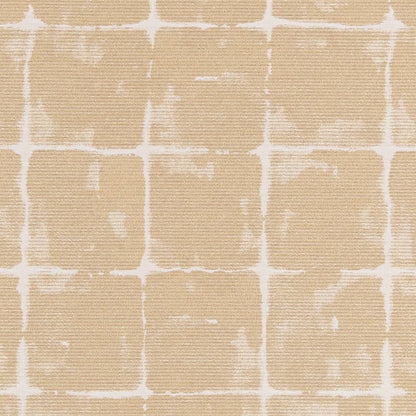 D2437 Abstract & Geometric Sand Dollar Beige & Taupe Charlotte Fabrics
