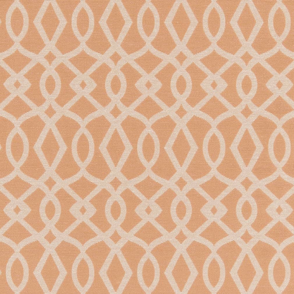 D2442 Abstract & Geometric Peach Coral & Peach Charlotte Fabrics