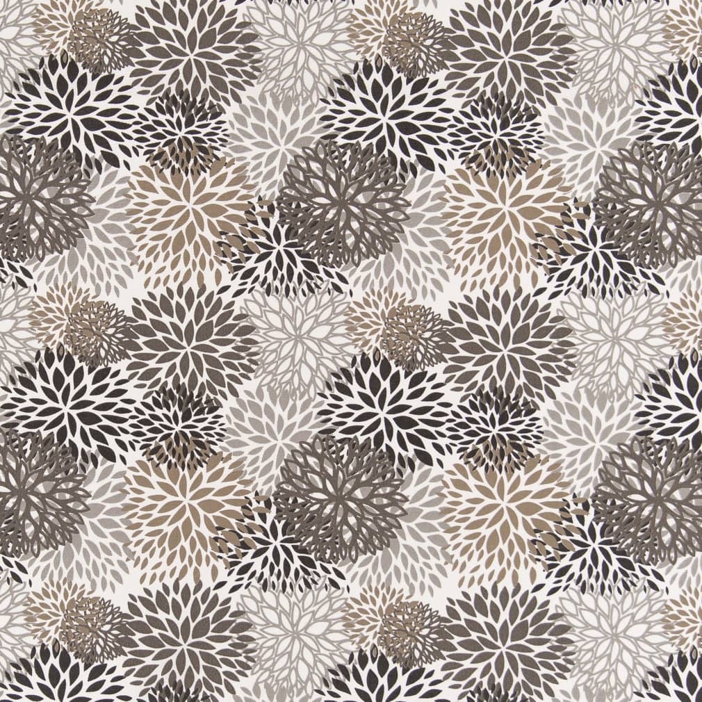 D2462 Abstract & Geometric,Floral Hickory Black,Brown Charlotte Fabrics