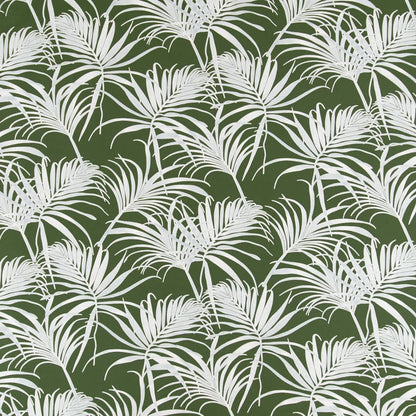 D2466 Leaves,Tropical & Botanical Fern Green Charlotte Fabrics