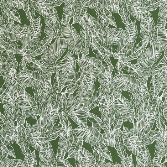 D2485 Leaves,Tropical & Botanical Jungle Green Charlotte Fabrics
