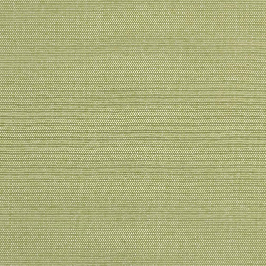 D2521 Plain & Solid Pear Green Charlotte Fabrics