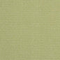 D2521 Plain & Solid Pear Green Charlotte Fabrics