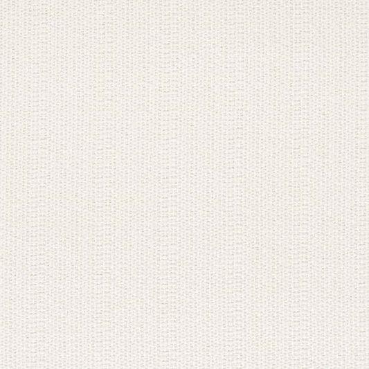 D2529 Plain & Solid Ivory White & Ivory Charlotte Fabrics