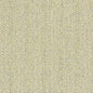 D2532 Plain & Solid Spring Green Charlotte Fabrics