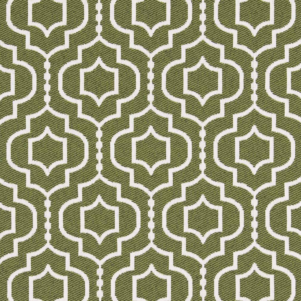 D2565 Abstract & Geometric Meadow Green Charlotte Fabrics