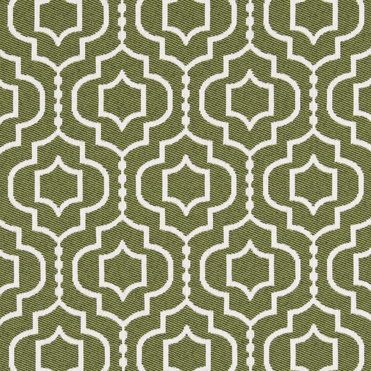 D2565 Abstract & Geometric Meadow Green Charlotte Fabrics