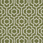 D2565 Abstract & Geometric Meadow Green Charlotte Fabrics