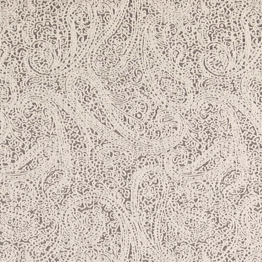 D2592 Paisley Paisley Coal Black Charlotte Fabrics