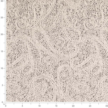 D2592 Paisley Paisley Coal Black Charlotte Fabrics