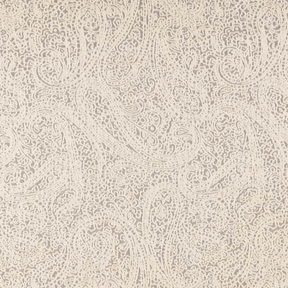 D2596 Paisley Paisley Pewter Grey & Silver Charlotte Fabrics