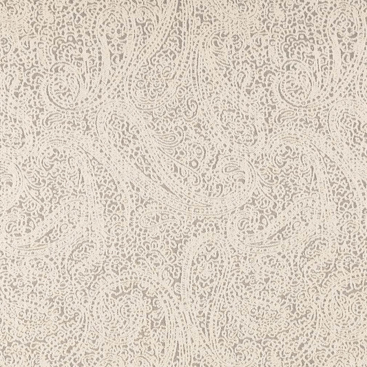 D2596 Paisley Paisley Pewter Grey & Silver Charlotte Fabrics