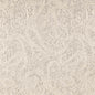 D2596 Paisley Paisley Pewter Grey & Silver Charlotte Fabrics