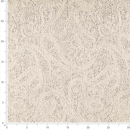 D2596 Paisley Paisley Pewter Grey & Silver Charlotte Fabrics