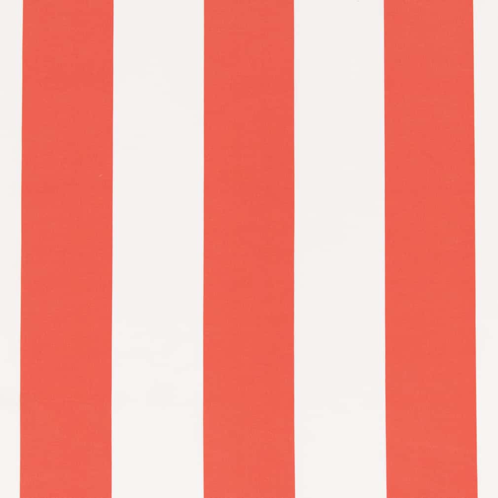 D2707 Stripe Watermelon Coral & Peach,Pink Charlotte Fabrics