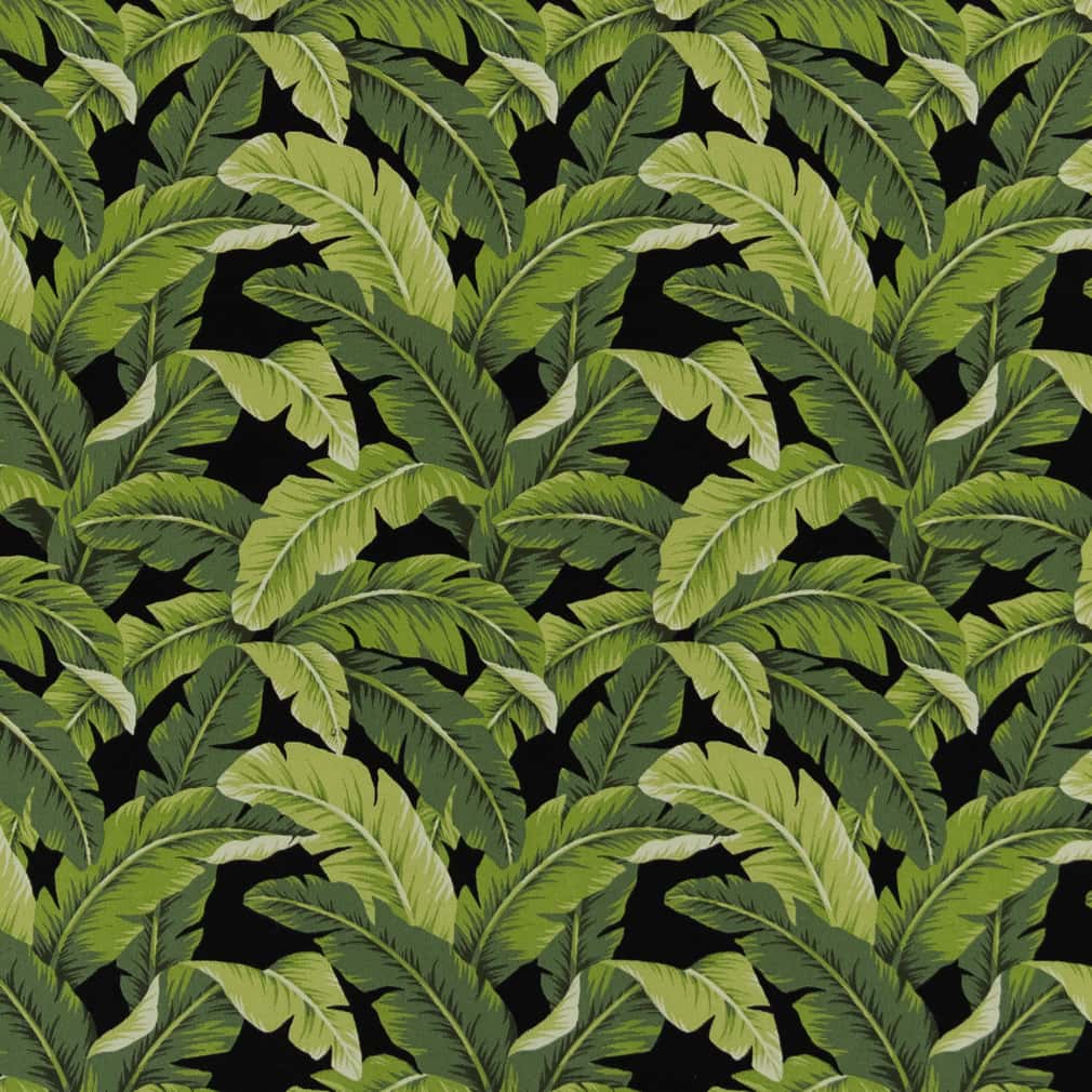 D2715 Leaves,Tropical & Botanical Rainforest Black,Green Charlotte Fabrics