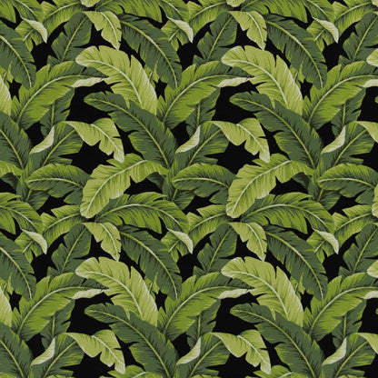 D2715 Leaves,Tropical & Botanical Rainforest Black,Green Charlotte Fabrics