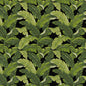 D2715 Leaves,Tropical & Botanical Rainforest Black,Green Charlotte Fabrics