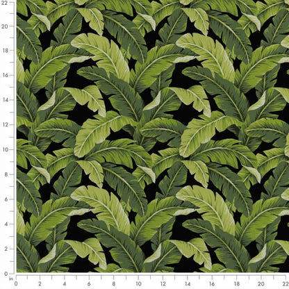 D2715 Leaves,Tropical & Botanical Rainforest Black,Green Charlotte Fabrics