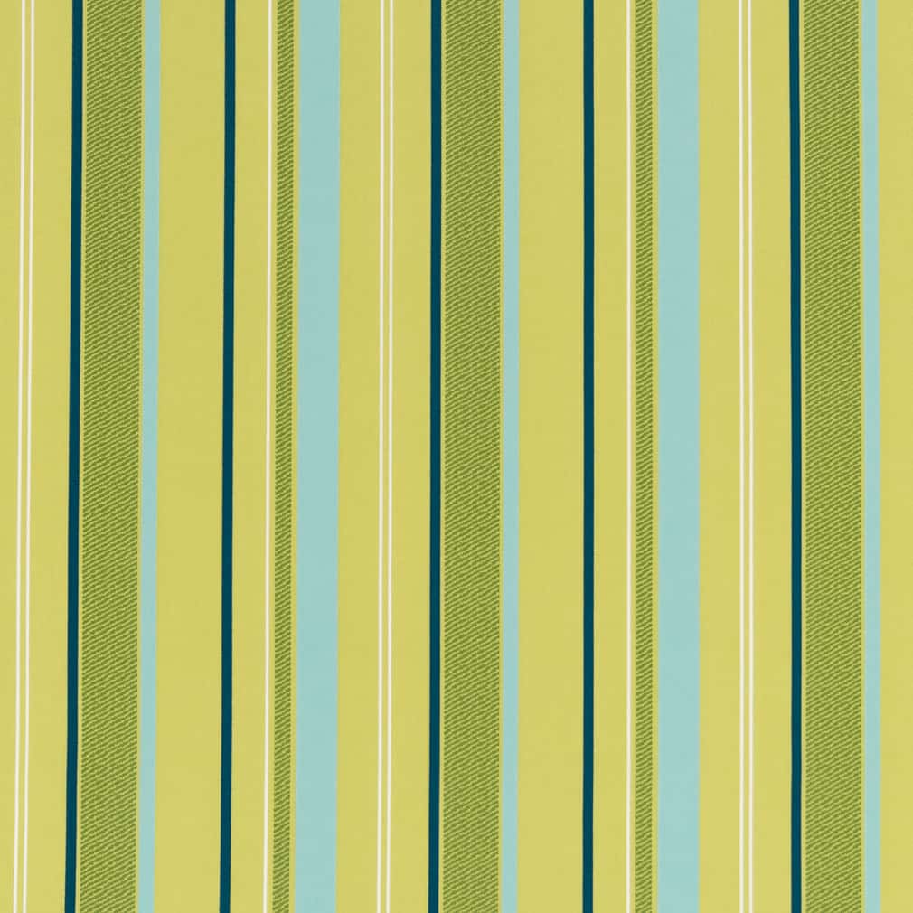 D2724 Stripe Kiwi Green Charlotte Fabrics