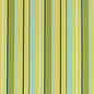 D2724 Stripe Kiwi Green Charlotte Fabrics