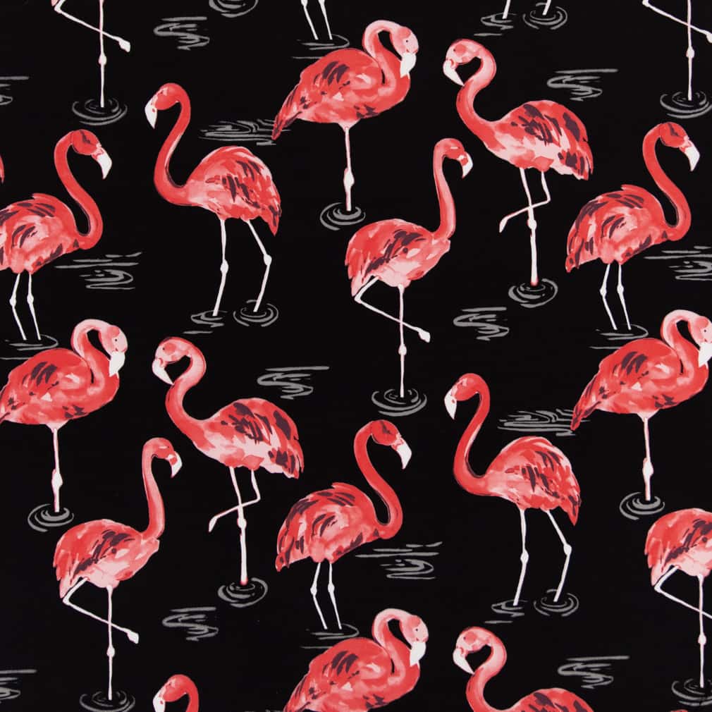 D2730 Novelty Flamingo Black,Pink Charlotte Fabrics
