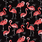 D2730 Novelty Flamingo Black,Pink Charlotte Fabrics