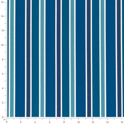 D2737 Stripe Coastal Blue Charlotte Fabrics