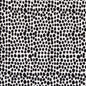D2762 Abstract & Geometric Onyx Black Charlotte Fabrics