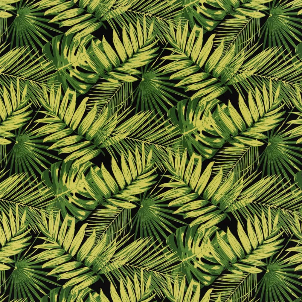 D2766 Leaves,Tropical & Botanical Noir Black,Green Charlotte Fabrics