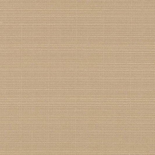 D2784 Plain & Solid Fawn Beige & Taupe,Brown Charlotte Fabrics