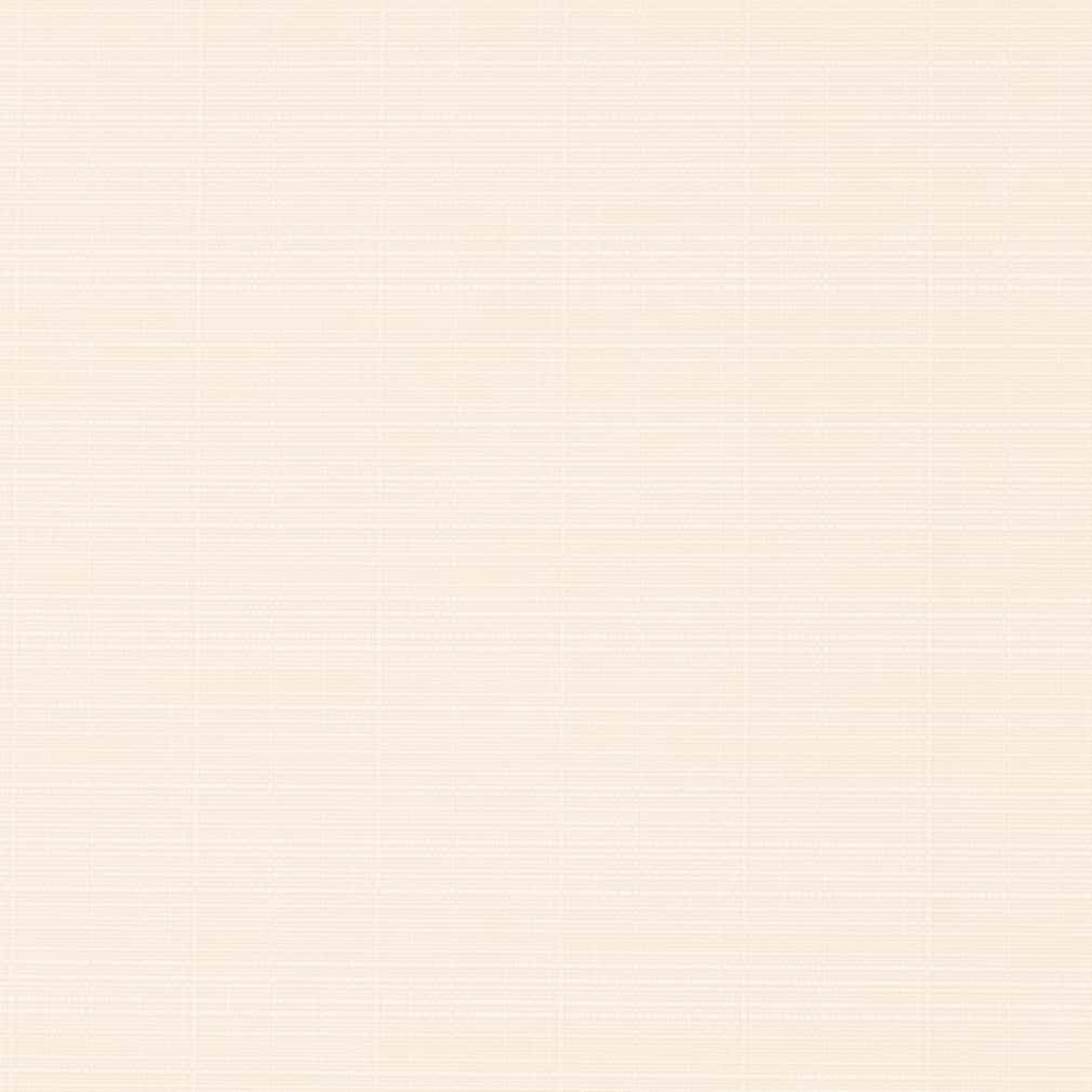 D2787 Plain & Solid Ivory White & Ivory Charlotte Fabrics