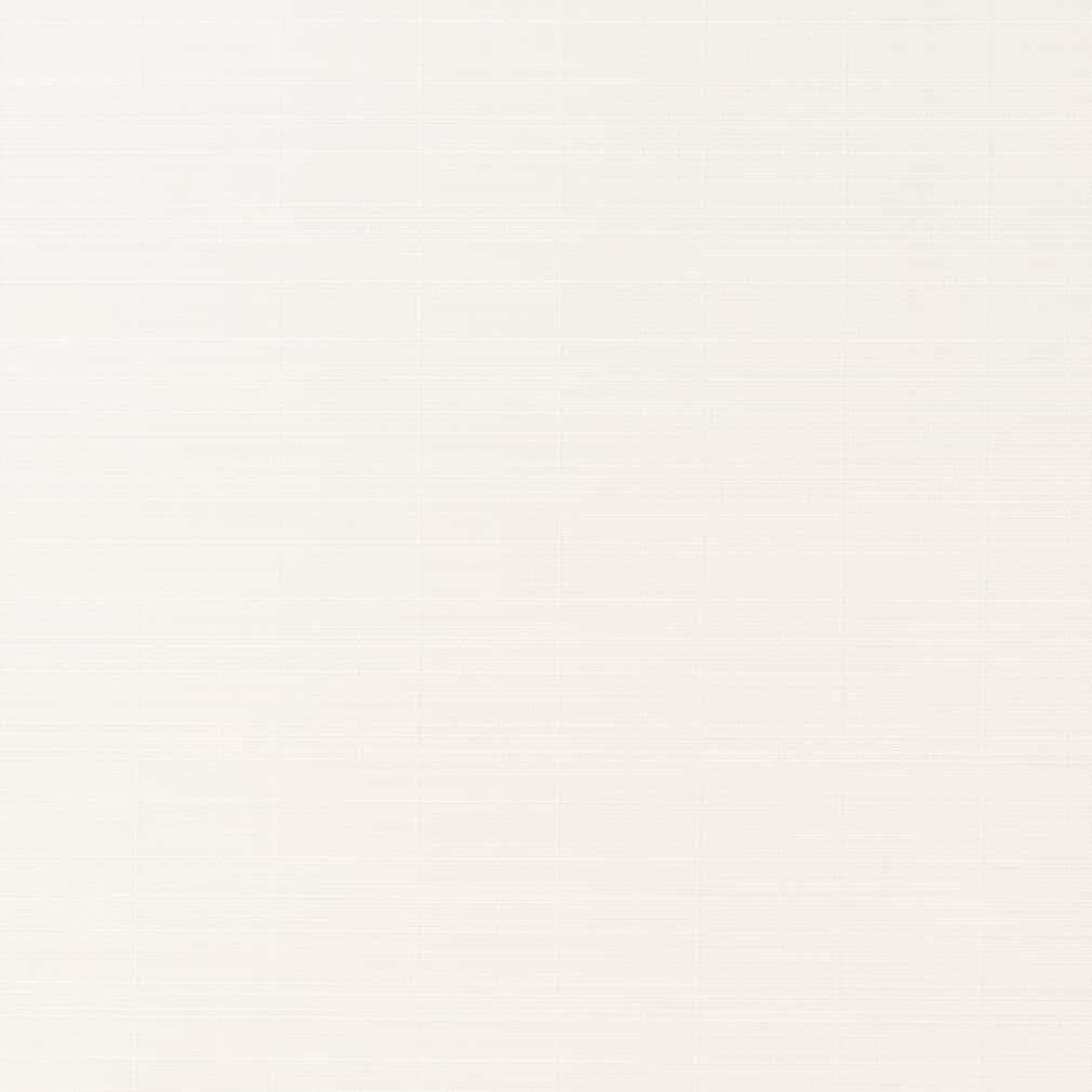 D2791 Plain & Solid Snow White & Ivory Charlotte Fabrics
