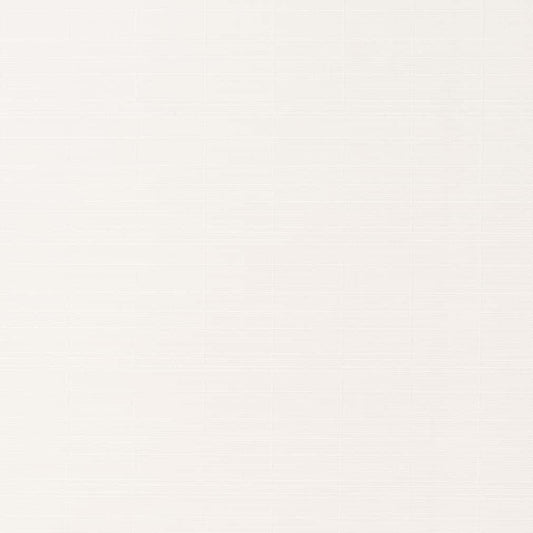 D2791 Plain & Solid Snow White & Ivory Charlotte Fabrics