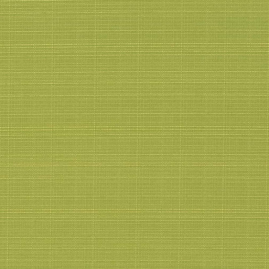 D2795 Plain & Solid Pear Green Charlotte Fabrics