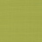 D2795 Plain & Solid Pear Green Charlotte Fabrics