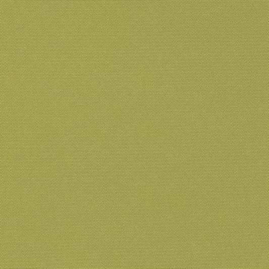 D2804 Plain & Solid Kiwi Green Charlotte Fabrics