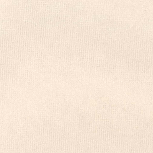 D2815 Plain & Solid Bone Beige & Taupe Charlotte Fabrics