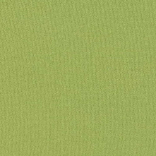 D2819 Plain & Solid Lime Green Charlotte Fabrics