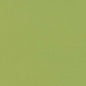 D2819 Plain & Solid Lime Green Charlotte Fabrics