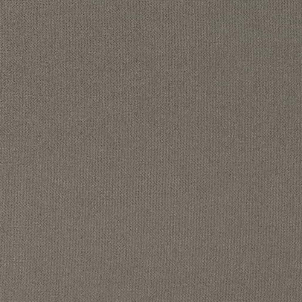 D2822 Plain & Solid Pewter Grey & Silver Charlotte Fabrics