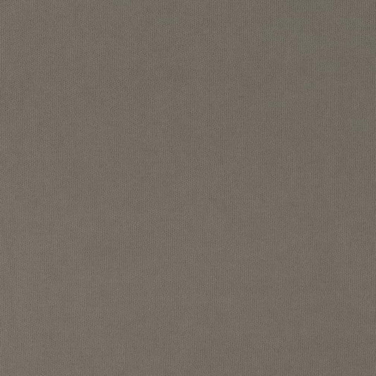 D2822 Plain & Solid Pewter Grey & Silver Charlotte Fabrics