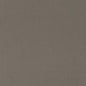 D2822 Plain & Solid Pewter Grey & Silver Charlotte Fabrics