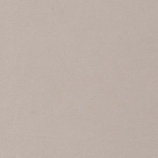 D2824 Plain & Solid Stone Grey & Silver Charlotte Fabrics